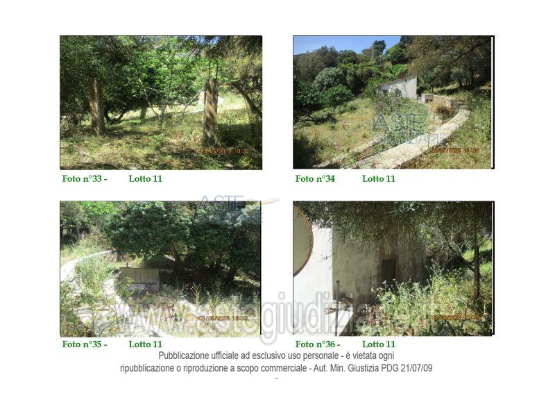 Quota pari al 100% della piena proprietà dei terreni siti in agro di Fluminimaggiore, Loc
